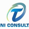 Todini Consultancy Private Limited